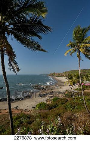 Stock Photo - Beach and blue sky with palm trees; Vagator, Goa, India. Fotosearch