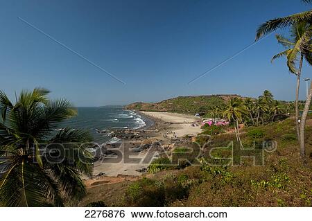 Beach and blue sky with palm trees; Vagator, Goa, India View Large Photo Image Stock Photograph - Beach and blue sky with palm trees; Vagator, Goa, India. Fotosearch