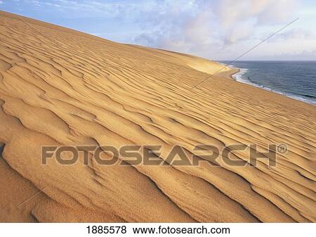 Beach And Coastline On Bazaruto Island View Large Photo Image Stock Photo - Beach And Coastline On Bazaruto Island. Fotosearch