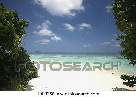 Beach And Lagoon At Soneva Fushi, Northern Atoll, Maldives View Large Photo Image Stock Photo - Beach And Lagoon At Soneva Fushi, Northern Atoll, Maldives. Fotosearch