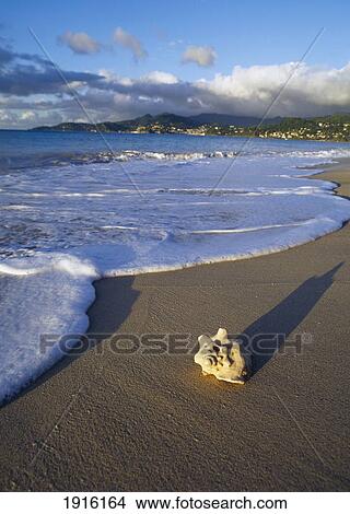 Beach At Dusk View Large Photo Image Picture - Beach At Dusk. Fotosearch