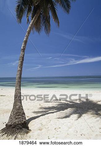 Beach At Playa Ancon, Near Trinidad View Large Photo Image Picture - Beach At Playa Ancon, Near Trinidad. Fotosearch