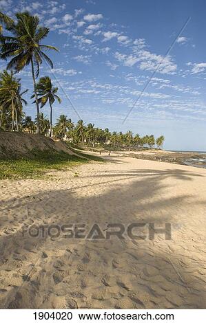 Beach At Resort Of Costa Do Sauipe, Bahia, Brazil View Large Photo Image Stock Image - Beach At Resort Of Costa Do Sauipe, Bahia, Brazil. Fotosearch