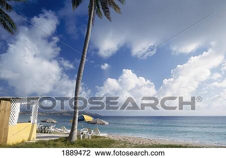 Beach Bar View Large Photo Image Stock Image - Beach Bar. Fotosearch