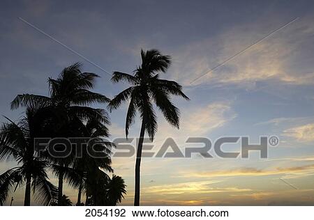Beach, Camaquey, Cuba View Large Photo Image Stock Image - Beach, Camaquey, Cuba. Fotosearch