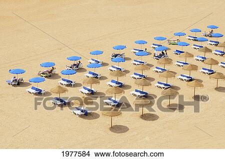 Picture - Beach Chairs And Umbrellas Set Up In Row On The Beach; Albufeira Algarve Portugal. Fotosearch