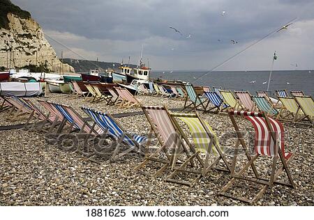 Beach Chairs On The Beach; Beer, Devon, England View Large Photo Image Stock Photography - Beach Chairs On The Beach; Beer, Devon, England. Fotosearch