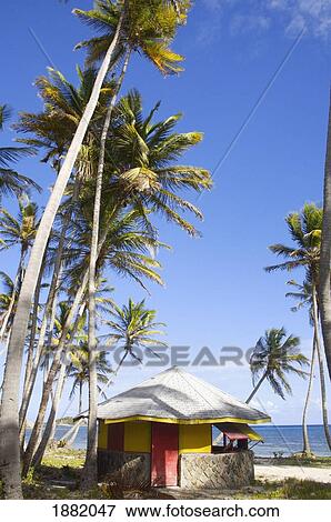 Beach Hut Amongst Palm Trees On Beach View Large Photo Image Stock Photo - Beach Hut Amongst Palm Trees On Beach. Fotosearch