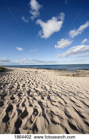 Stock Image - Beach In Bamborough, Northumberland, England. Fotosearch