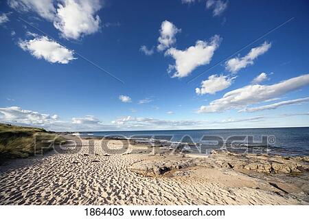 Stock Image - Beach In Bamborough, Northumberland, England. Fotosearch