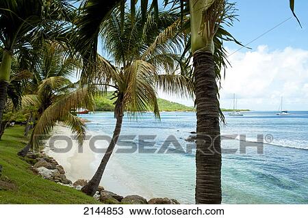 Stock Image - Beach In Mustique Island, St Vincent And The Grenadines, West Indies. Fotosearch