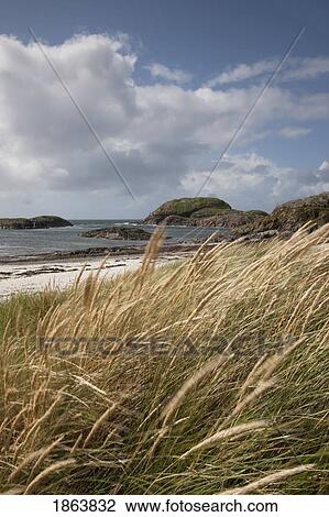 Beach, Island Of Iona, Scotland View Large Photo Image Stock Image - Beach, Island Of Iona, Scotland. Fotosearch