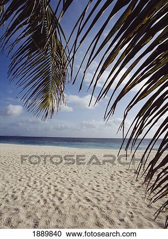 Stock Image - Beach On Fregate Island. Fotosearch