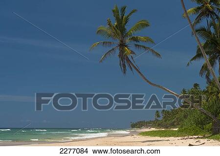 Picture - Beach on South coast near Unawatuna; Sri Lanka. Fotosearch
