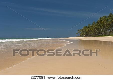 Stock Image - Beach on South coast, near Unawatuna; Sri Lanka. Fotosearch