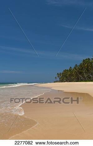 Beach on South coast, near Unawatuna; Sri Lanka View Large Photo Image Stock Image - Beach on South coast, near Unawatuna; Sri Lanka. Fotosearch