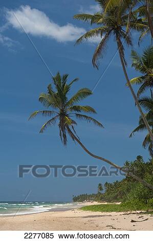 Stock Photography - Beach on South coast near Unawatuna; Sri Lanka. Fotosearch