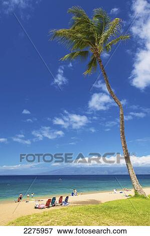 Beach on the coastline of an hawaiian island; Hawaii, United States of America View Large Photo Image Stock Photo - Beach on the coastline of an hawaiian island; Hawaii, United States of America. Fotosearch