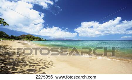 Beach on the coastline of an hawaiian island; Hawaii, United States of America View Large Photo Image Stock Photograph - Beach on the coastline of an hawaiian island; Hawaii, United States of America. Fotosearch