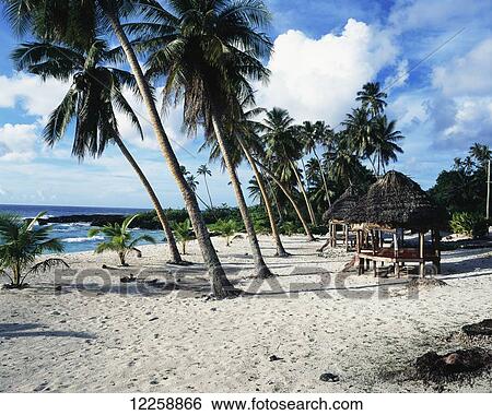 Stock Photograph - Beach on the most Westerly point of Savaii; Savaii Island, Samoa. Fotosearch