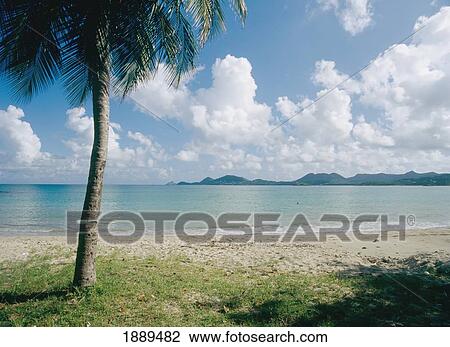 Stock Image - Beach On The West Coast. Fotosearch