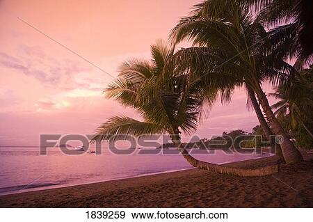 Beach Outside Atlantis Resort Dumaguete; Dumaguete, Oriental s Island, Philippines View Large Photo Image Stock Photo - Beach Outside Atlantis Resort Dumaguete; Dumaguete, Oriental s Island, Philippines. Fotosearch