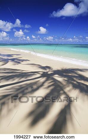Stock Photo - Beach Scene With Palm Shadow On Shoreline Sand, Tropical. Fotosearch