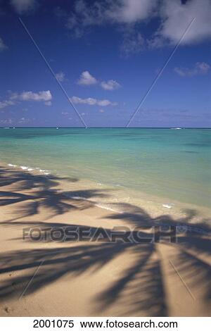 Beach Scene With Palm Shadow On Shoreline Sand, Tropical View Large Photo Image Stock Photography - Beach Scene With Palm Shadow On Shoreline Sand, Tropical. Fotosearch