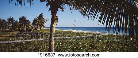 Stock Photo - Beach. Fotosearch