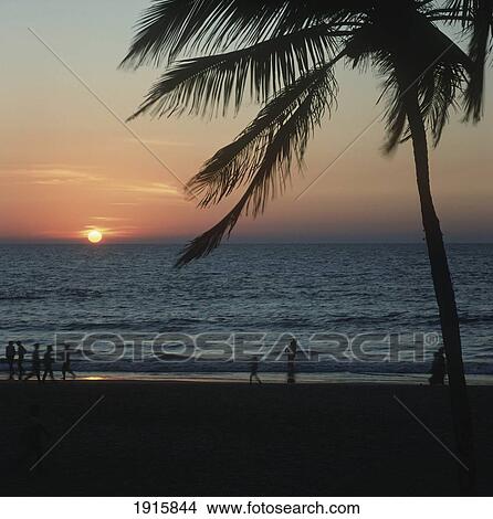 Beach Sunset View Large Photo Image Picture - Beach Sunset. Fotosearch