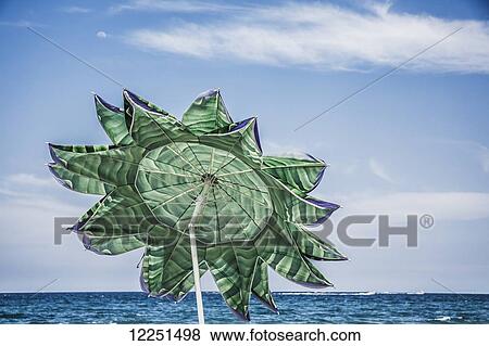 Beach umbrella in the shape of a flower; Florida, United States of America View Large Photo Image Stock Photo - Beach umbrella in the shape of a flower; Florida, United States of America. Fotosearch