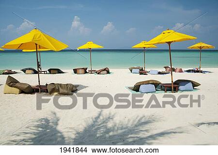 Picture - Beach Umbrellas On Phi Phi Islands; Phuket Thailand. Fotosearch