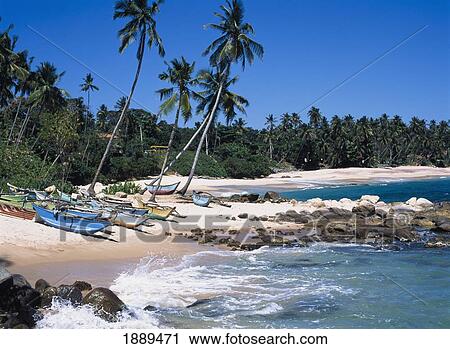 Stock Image - Beached Fishing Boat Catamarans.. Fotosearch