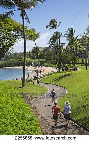 Beachwalk to Kapalua Beach; Kapalua, Maui, Hawaii, United States of America View Large Photo Image Stock Photo - Beachwalk to Kapalua Beach; Kapalua, Maui, Hawaii, United States of America. Fotosearch
