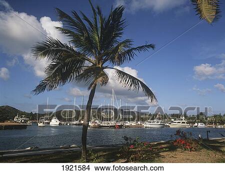 Picture - Beats In Harbour, Virgin Gorda, Spanish Town. Fotosearch