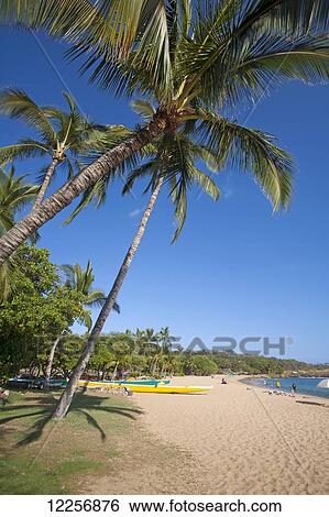 Beautiful Hulopoe Beach; Lanai, Hawaii, United States of America View Large Photo Image Stock Photograph - Beautiful Hulopoe Beach; Lanai, Hawaii, United States of America. Fotosearch