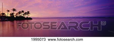 Stock Image - Beautiful Pink Sunset Over The Ocean, Palm Trees Along The Coastline. Fotosearch
