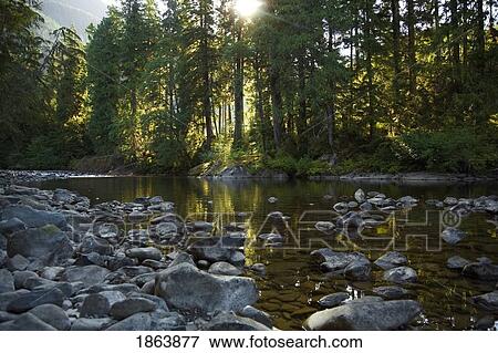 Stock Photo - Beautiful Shore, Elk Falls, British Columbia, Canada. Fotosearch