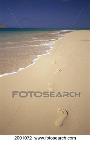 Stock Image - Beautiful Shoreline Along Beach Footprints On Sand, Clear Blue Sky. Fotosearch