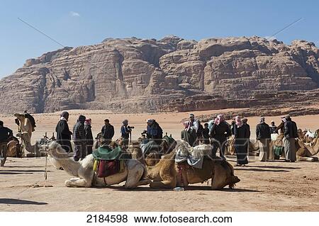 Stock Photo - Bedouin Camel Handlers Waiting For Tourists Outside The Captain's Main Desert Camp, Wadi Rum, Jordan, Middle East. Fotosearch