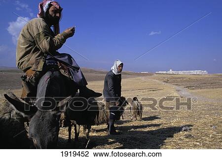 Stock Image - Bedouin Herdsmen. Fotosearch