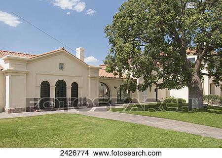 Picture - Beige building and large tree; Mendoza, Argentina. Fotosearch