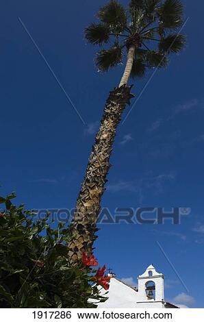 Stock Photograph - Bell Tower Of San Telmo Church. Fotosearch
