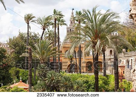Bell Tower Of Seville Cathedral, View From Royal Alcazar Gardens; Seville, Andalucia, Spain View Large Photo Image Stock Photo - Bell Tower Of Seville Cathedral, View From Royal Alcazar Gardens; Seville, Andalucia, Spain. Fotosearch