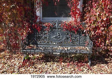 Stock Photography - Bench Covered By Fall Leaves, Kingston, Ontario, Canada. Fotosearch