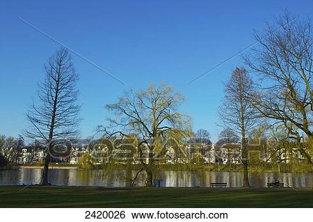 Benches and residential buildings along the tranquil river; Hamburg, Germany View Large Photo Image Stock Photograph - Benches and residential buildings along the tranquil river; Hamburg, Germany. Fotosearch