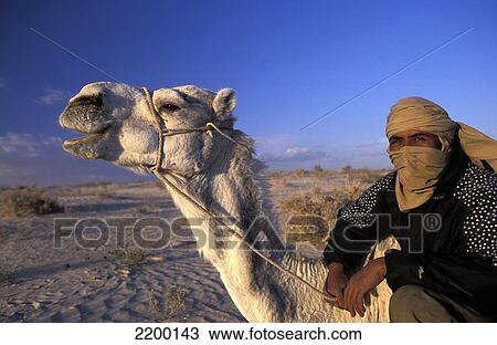 Berber Camel Rider And Camel During A Camel Trek In Sahara Desert From Douz (Town On The Edge Of The Southern Tunisia), Tunisia. View Large Photo Image Stock Image - Berber Camel Rider And Camel During A Camel Trek In Sahara Desert From Douz (Town On The Edge Of The Southern Tunisia), Tunisia.. Fotosearch