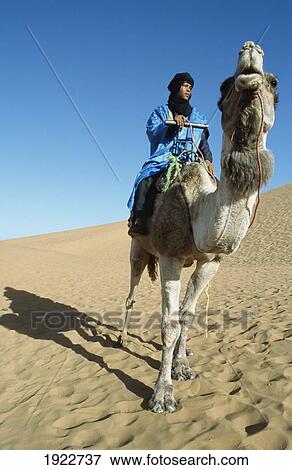 Berber Camelier View Large Photo Image Stock Photo - Berber Camelier. Fotosearch