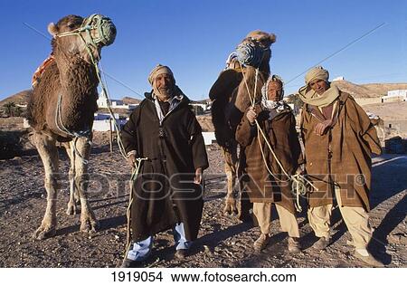 Picture - Berber Cameliers. Fotosearch