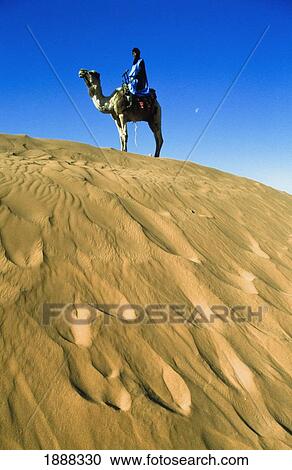 Berber On Camel At Tinfou Dunes View Large Photo Image Stock Image - Berber On Camel At Tinfou Dunes. Fotosearch